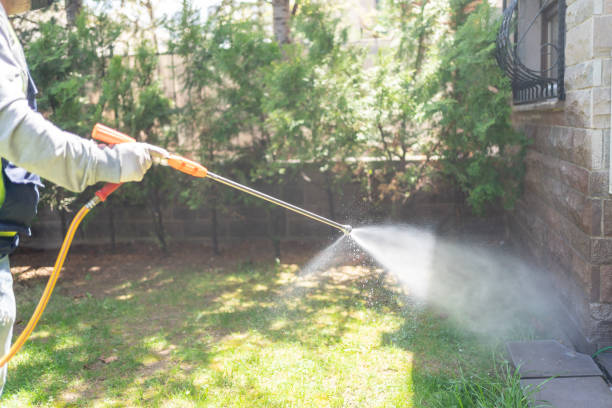 Pest Control Cost in Bernie, MO