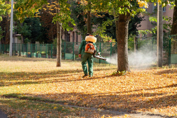 Professional Pest Control in Bernie, MO