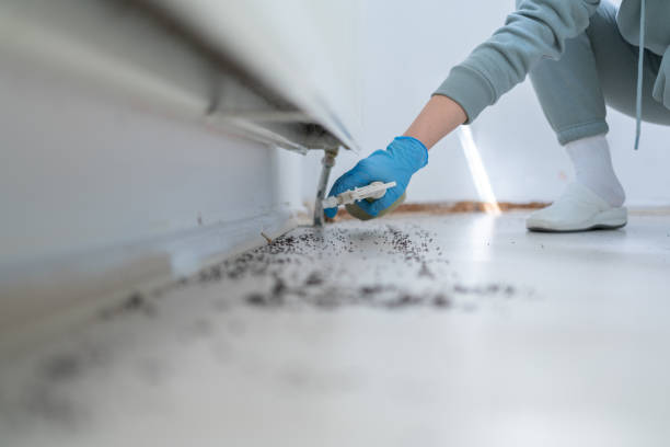 Wildlife Control Services in Bernie, MO