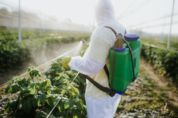 Best Emergency Pest Control  in Bernie, MO